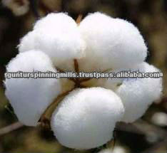 インドの綿花のステープル長27ミリメートル-綿花、原綿問屋・仕入れ・卸・卸売り