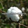 100%の純粋な綿-綿花、原綿問屋・仕入れ・卸・卸売り