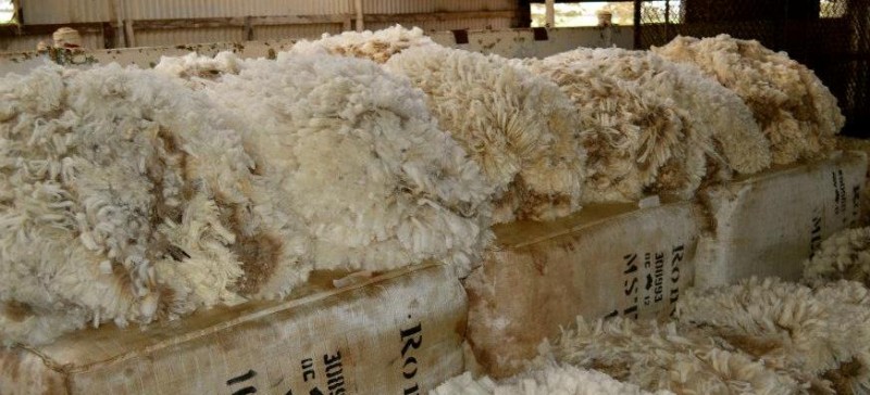 自然ウール卸売メリノウール-ウール繊維問屋・仕入れ・卸・卸売り
