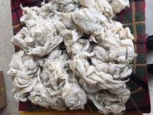 純粋な白精練と生羊毛-ウール繊維問屋・仕入れ・卸・卸売り