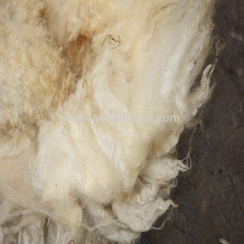 生の羊毛-ウール繊維問屋・仕入れ・卸・卸売り