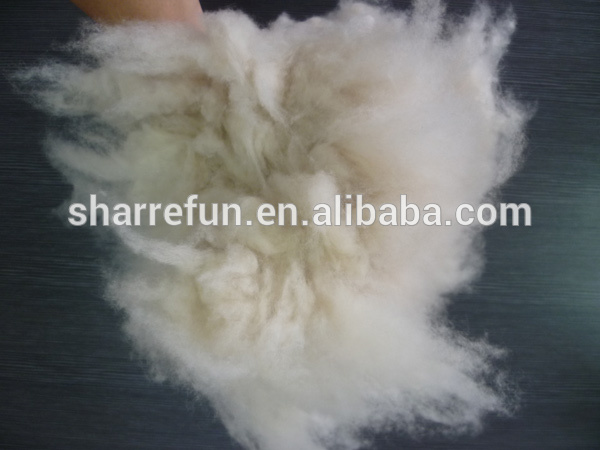 中国工場卸売100％ltカシミヤ繊維。 グレー-ウール繊維問屋・仕入れ・卸・卸売り
