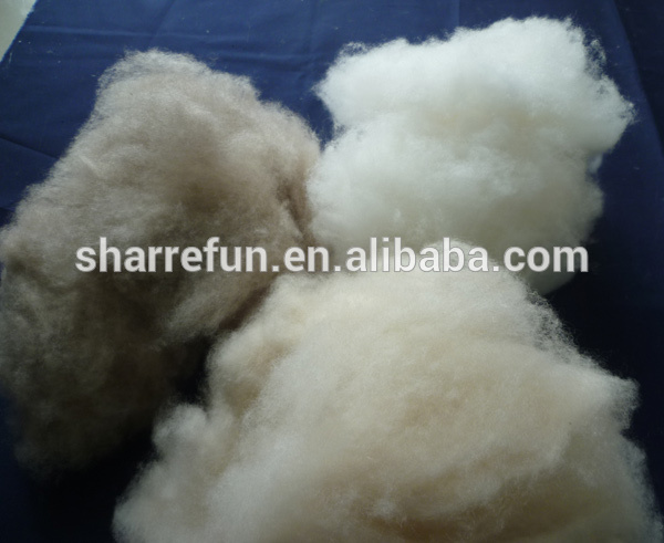 100％中国の細かい毛を除去したカシミヤ繊維-ウール繊維問屋・仕入れ・卸・卸売り
