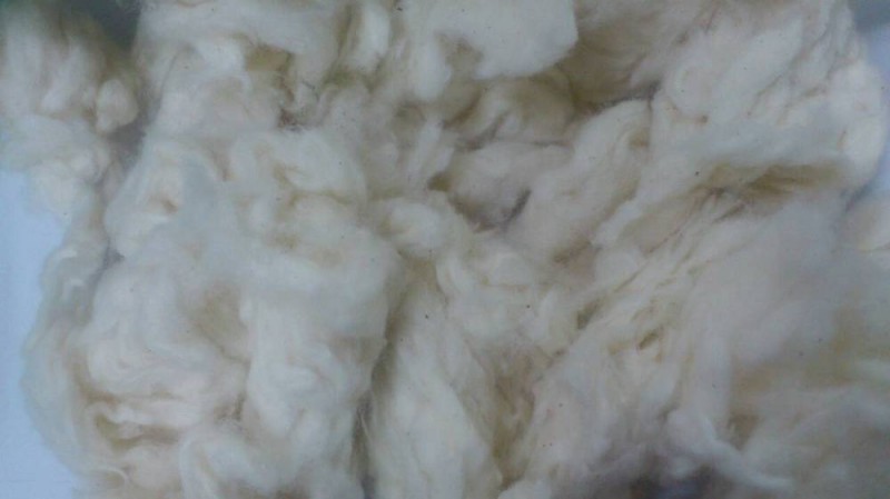 綿100％コーマー短毛-紡織ウエイスト問屋・仕入れ・卸・卸売り