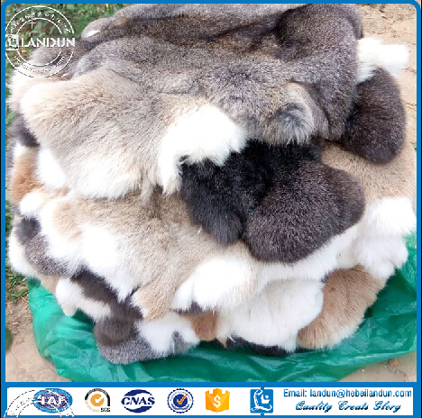 自然な白ウサギの毛皮スキン/なめしレックスウサギの毛皮スキン-問屋・仕入れ・卸・卸売り