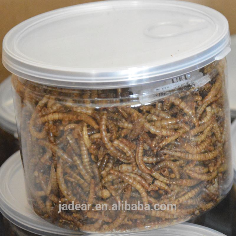 乾燥食用昆虫mealworm小麦粉-ペットフード問屋・仕入れ・卸・卸売り