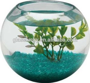 透明なガラスの円形のガラス水槽の魚の水槽装飾として-水槽、付属品問屋・仕入れ・卸・卸売り