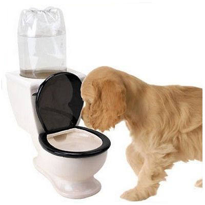 トイレ型ウォーターディスペンサー動物ボウル用販売-フードボウル、ペットフィーダー問屋・仕入れ・卸・卸売り