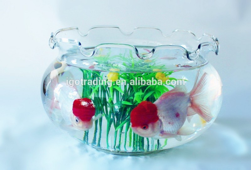 インチ11.8ツタの手が作った透明なガラスの金魚鉢-水槽、付属品問屋・仕入れ・卸・卸売り