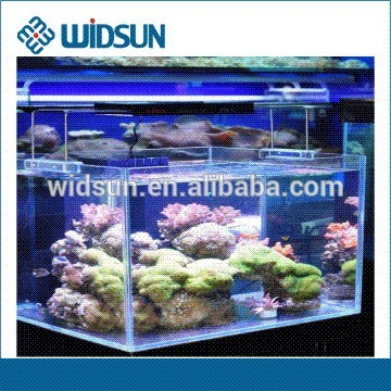 中国日の出と日没水族館天井はライトを導いた-水槽、付属品問屋・仕入れ・卸・卸売り