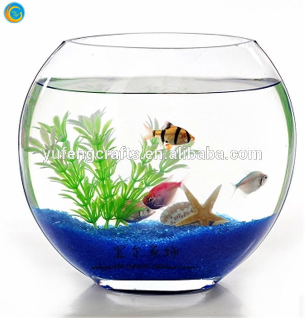 斜めのガラス金魚鉢/のガラスの水槽が-水槽、付属品問屋・仕入れ・卸・卸売り