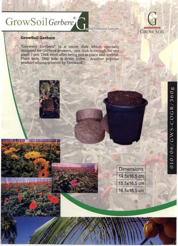 ガーベラ植物を育てるためのディスク-泥炭問屋・仕入れ・卸・卸売り