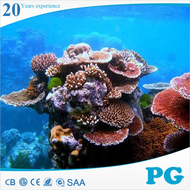 Pg良い販売シリコン サンゴ礁水族館装飾-水槽、付属品問屋・仕入れ・卸・卸売り
