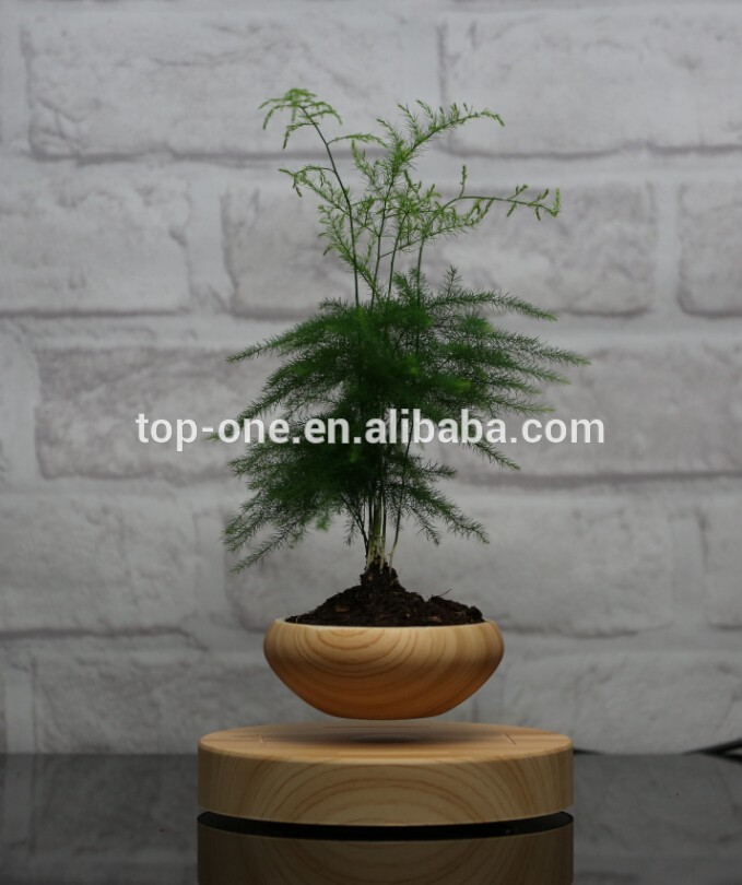ミニ浮上植物ポット、ミニホット販売ポット、フローティングポット鉢植え-植木鉢、プランター問屋・仕入れ・卸・卸売り