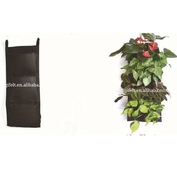 compertitive価格を感じた植物は、 袋を育てる-栽培用袋問屋・仕入れ・卸・卸売り