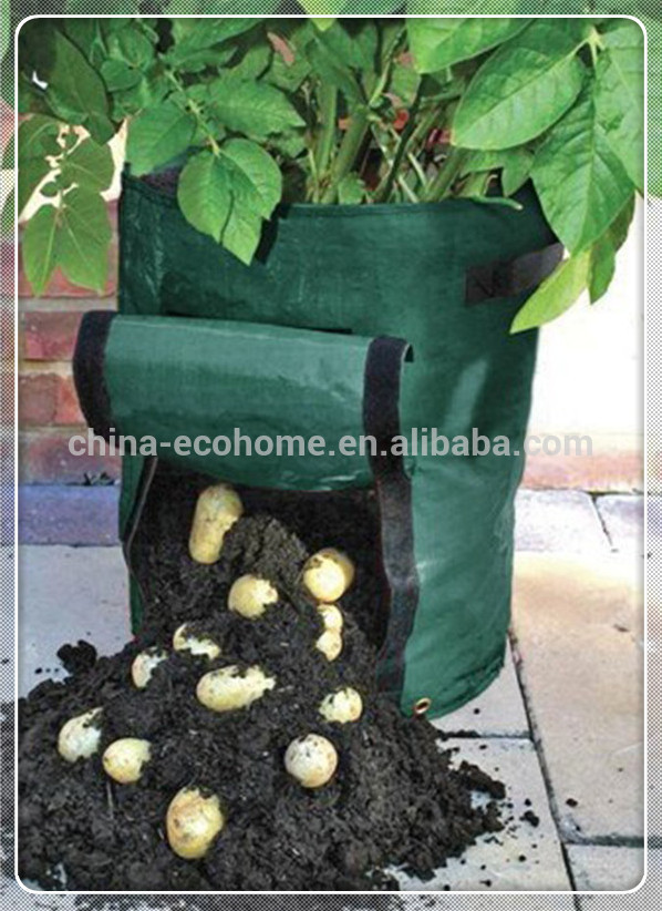 ジャガイモは袋に成長する-栽培用袋問屋・仕入れ・卸・卸売り