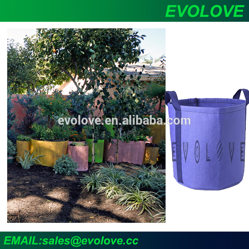 庭に大きな植栽バッグアウトドア生えている木のプランターバッグ-栽培用袋問屋・仕入れ・卸・卸売り