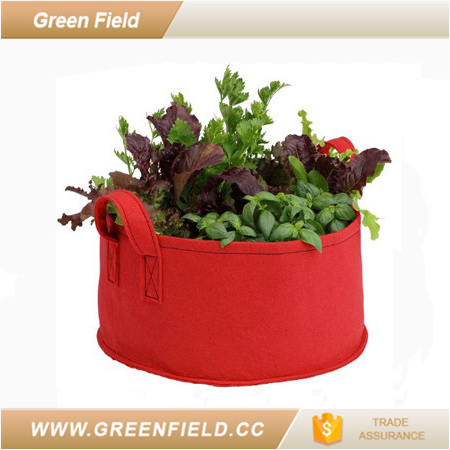 グリーンフィールド通気性黒トマトを育てる-栽培用袋問屋・仕入れ・卸・卸売り