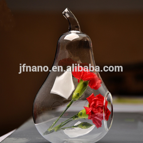 マイクロガラスびんの風景生態学的なフルーツ形状透明なガラスの花瓶-植木鉢、プランター問屋・仕入れ・卸・卸売り