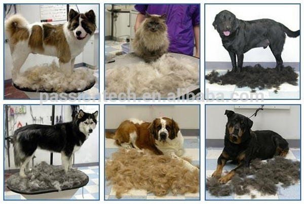 ペットアクセサリー2016クリーン毛グルーミングツール用犬-グルーミング製品問屋・仕入れ・卸・卸売り
