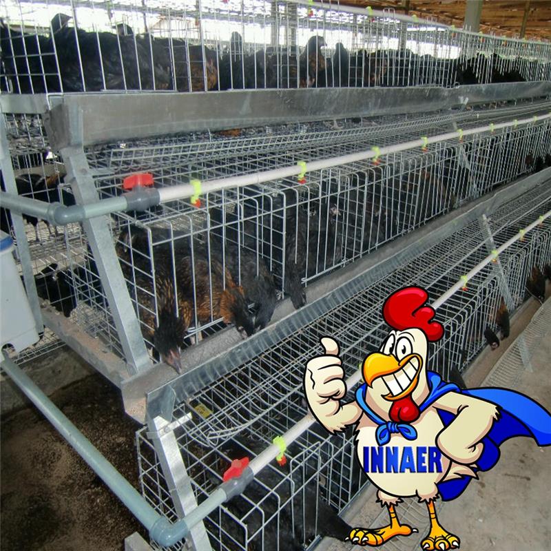 ホット亜鉛メッキ鶏の層ケージ機器-ペット檻、キャリヤー、および家問屋・仕入れ・卸・卸売り