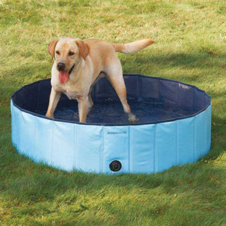 カスタム冷却余分な タフ犬ペット水泳プール スプラッシュ-問屋・仕入れ・卸・卸売り