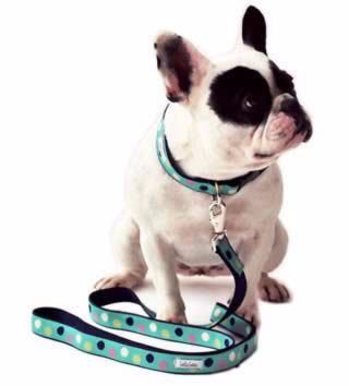 ペット製品犬アクセサリー格納式犬リーシュ-首輪、リード問屋・仕入れ・卸・卸売り