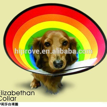 低価格のプラスチックコーン犬のエリザベスの襟用-首輪、リード問屋・仕入れ・卸・卸売り