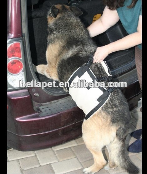 ・アップのための犬のハーネスの中を助ける古いものと病気の犬を車に-首輪、リード問屋・仕入れ・卸・卸売り