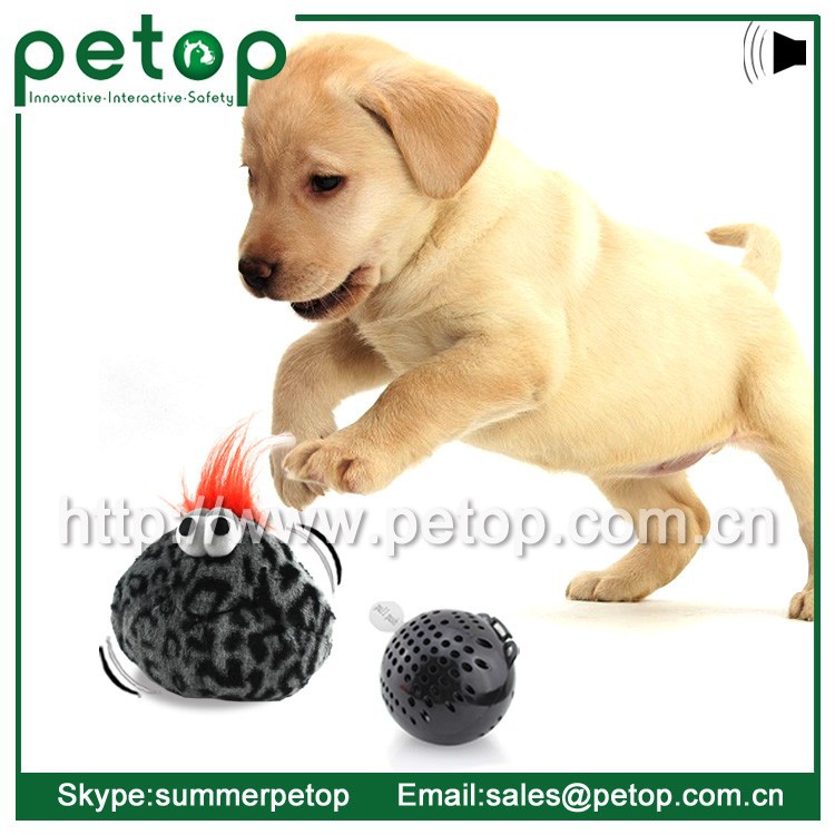 プライベートlableと小さな犬のおもちゃ工場-ペット用玩具問屋・仕入れ・卸・卸売り