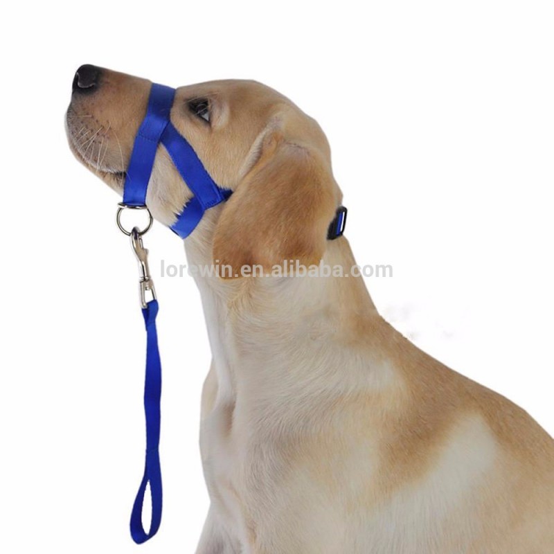 5色ありナイロンマーチンゲール犬襟-首輪、リード問屋・仕入れ・卸・卸売り