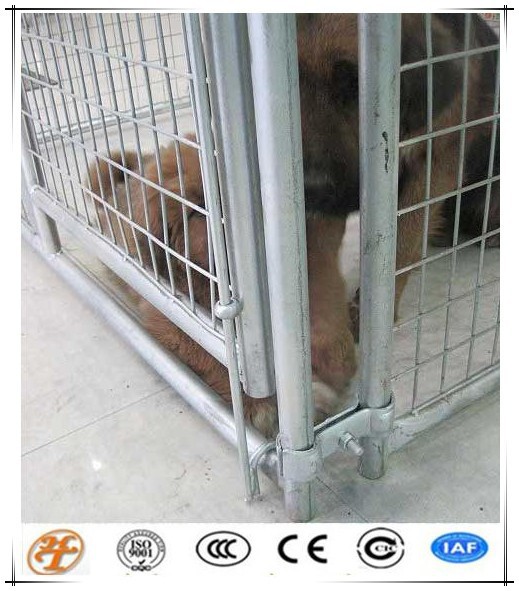 溶接亜鉛メッキまたは粉体塗装屋外ドッグラン犬小屋-ペット檻、キャリヤー、および家問屋・仕入れ・卸・卸売り