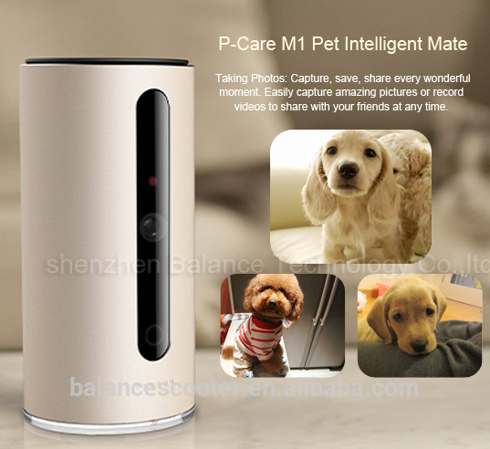 犬ペットワイヤレスipカメラ/ペットモニターwifiカム/レーザー電子玩具用ペット-ペット用玩具問屋・仕入れ・卸・卸売り
