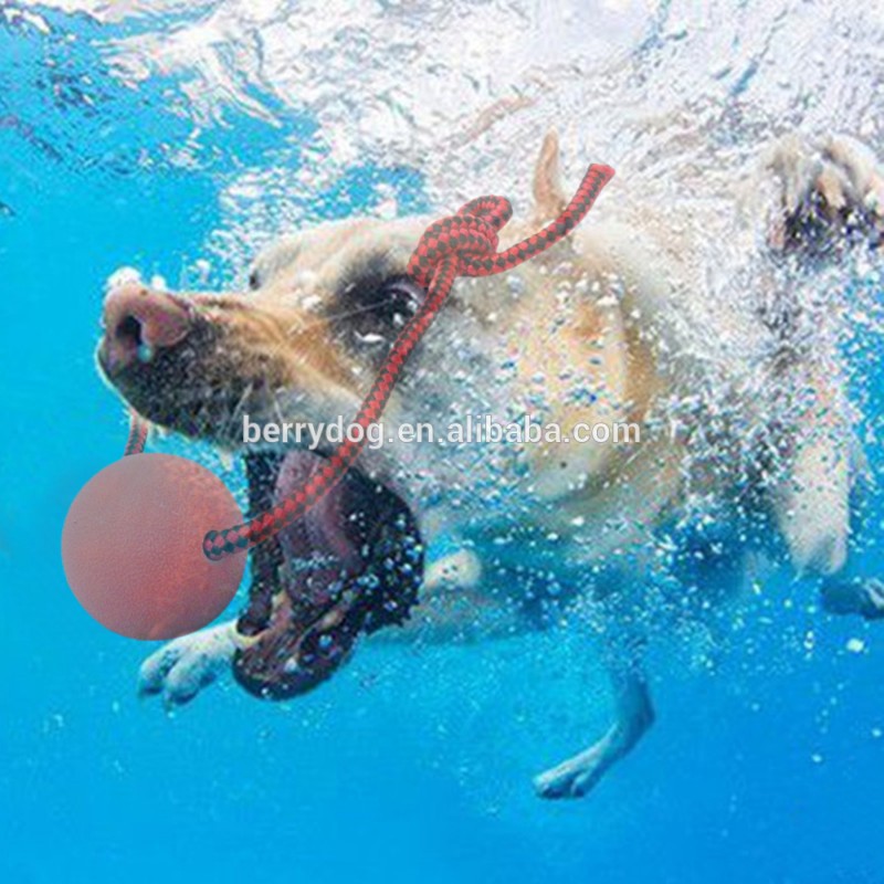 固体ゴム犬の咀嚼トレーニングボールおもちゃ子犬ペットプレイおもちゃでロープハンドル-ペット用玩具問屋・仕入れ・卸・卸売り