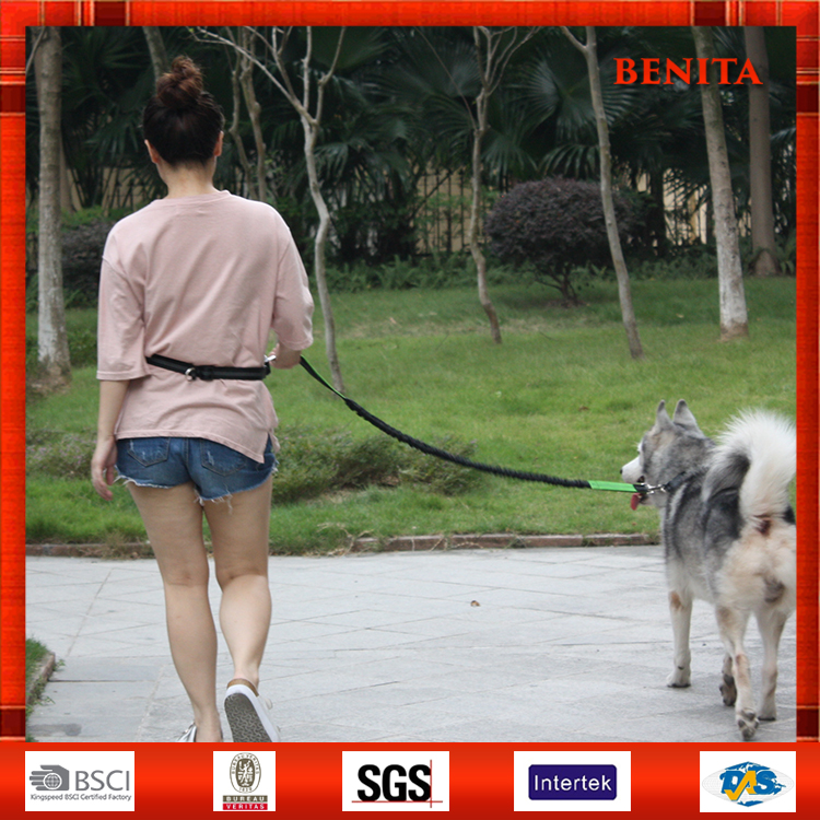ハンズフリー格納式バンジーウォーキングジョギングランニングペット犬リーシュ/リード-首輪、リード問屋・仕入れ・卸・卸売り