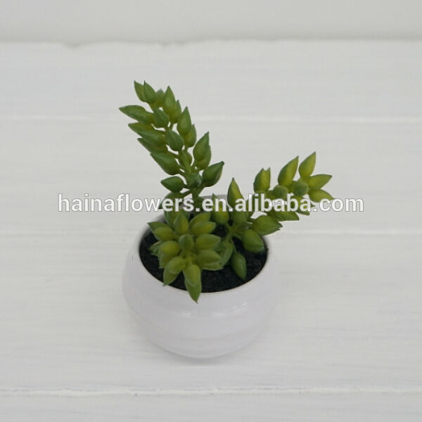 装飾的な人工植物プラスチック高自然を植物ポットメラミン-その他人工植物問屋・仕入れ・卸・卸売り