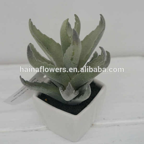 安いミニ人工的な鉢植えのベストセラーのアロエ植物-その他人工植物問屋・仕入れ・卸・卸売り