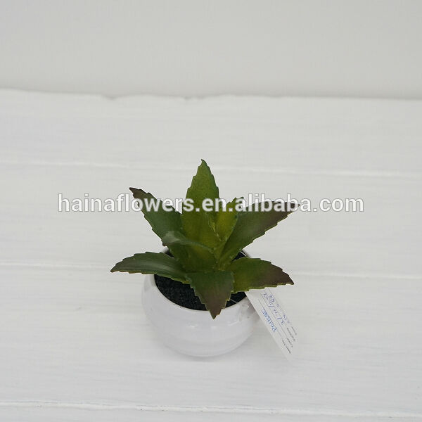 人工的な植物でエヴァの植物アロエartifcialcompeitive価格-その他人工植物問屋・仕入れ・卸・卸売り