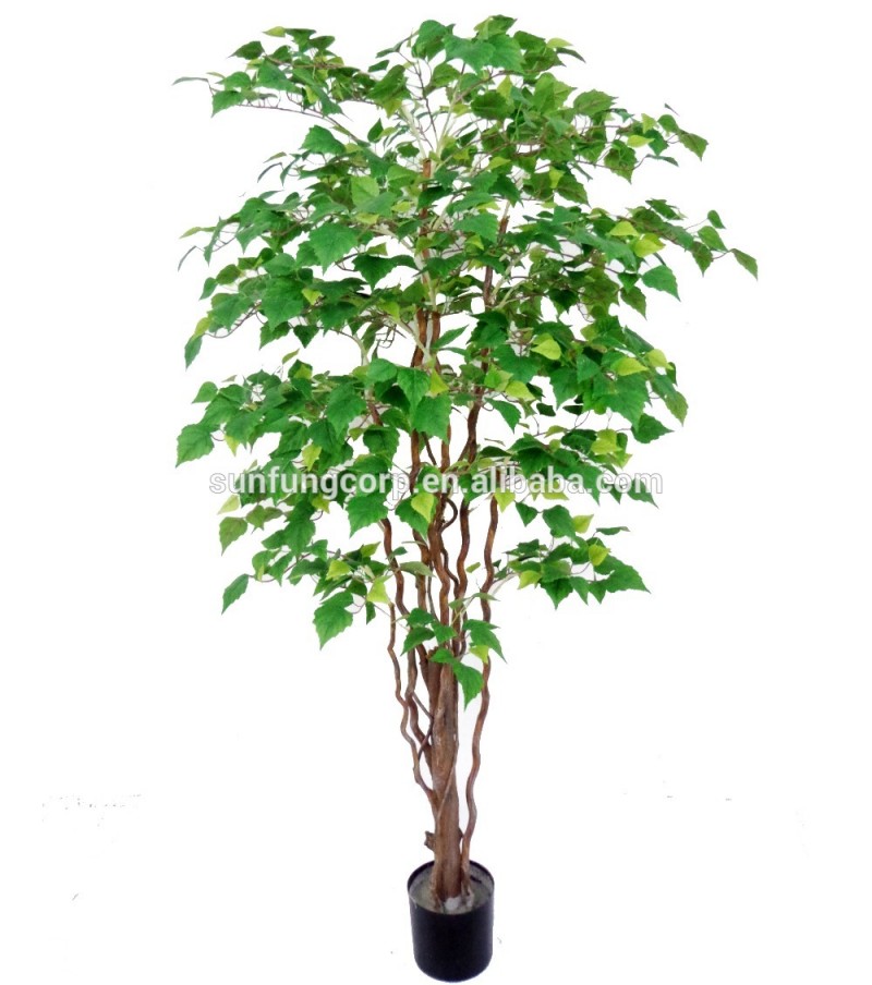 日フォン60''樺の木に自然のトランクtwotone卸売のための緑の木-その他人工植物問屋・仕入れ・卸・卸売り
