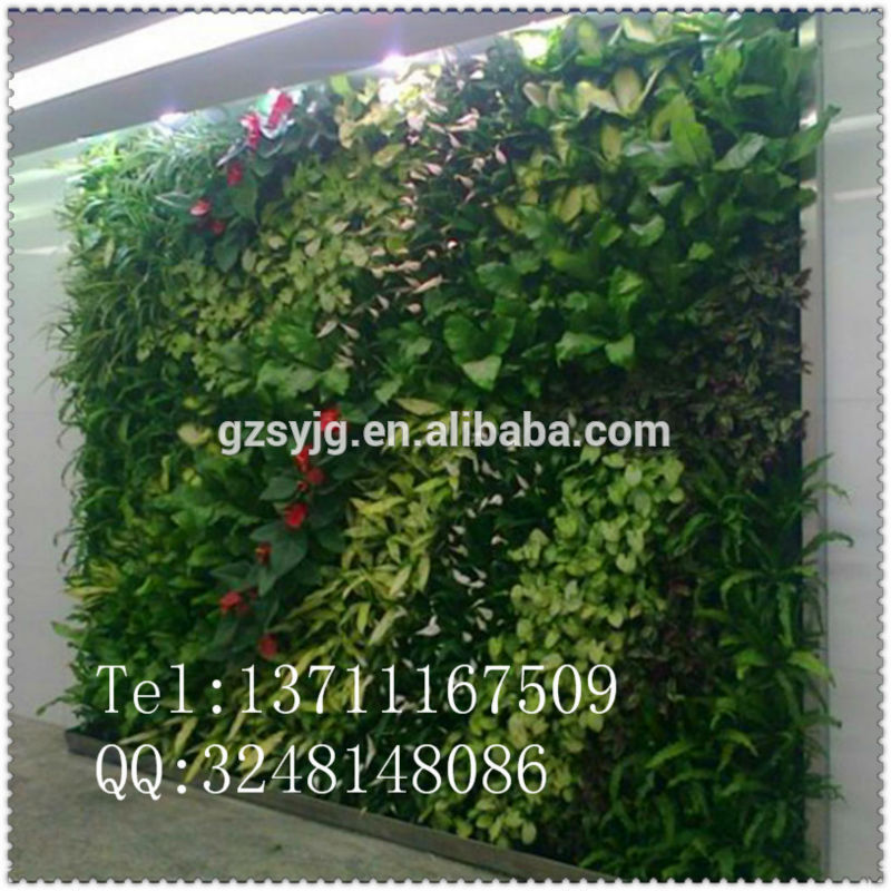 高模倣人工緑の壁の装飾壁掛け植物展示用/造花・ギャス壁-その他人工植物問屋・仕入れ・卸・卸売り