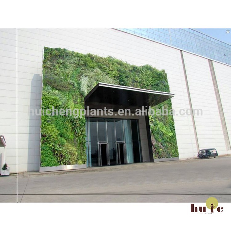 グリーン植物壁/人工植物壁-人工芝問屋・仕入れ・卸・卸売り