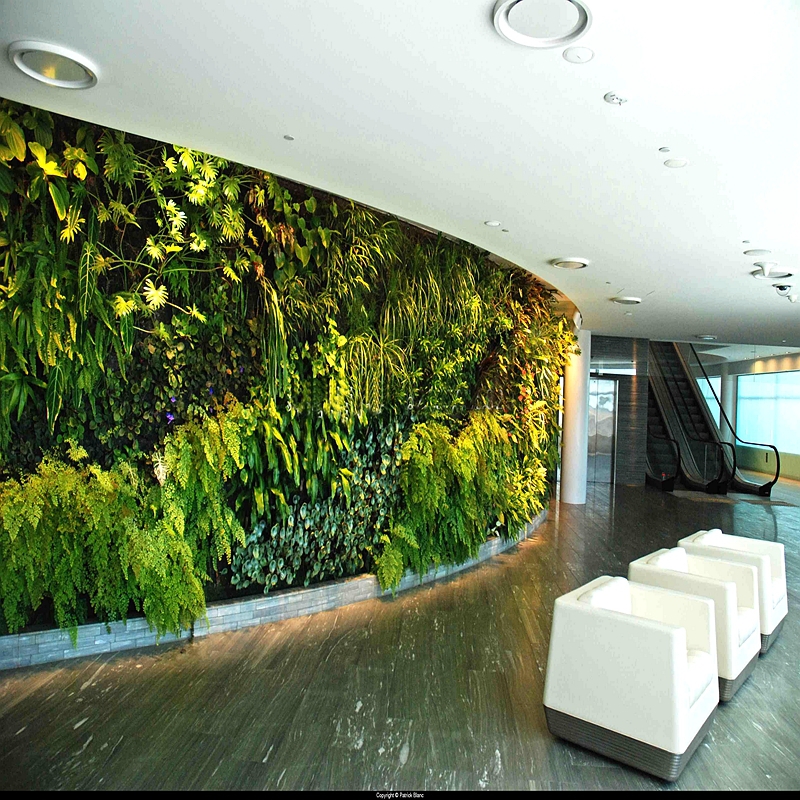 2016熱い販売人工葉壁ヘッジパティオ植物用の装飾人工グリーン壁-人工芝問屋・仕入れ・卸・卸売り