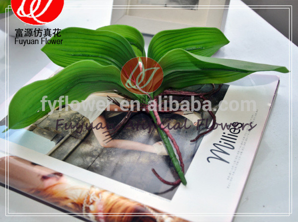 中国工場140270オンラインショッピング卸売装飾的な人工観葉蘭若い植物-人工芝問屋・仕入れ・卸・卸売り