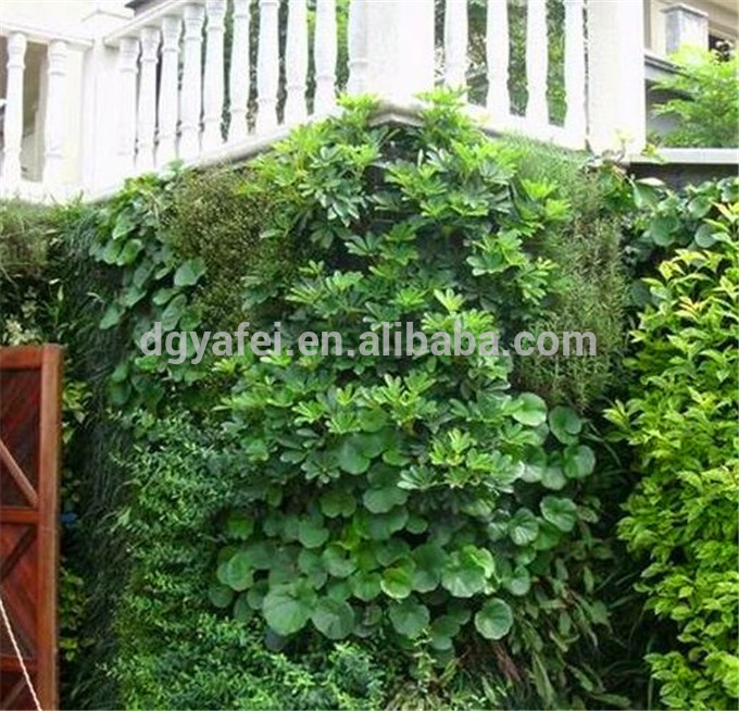 高品質の屋内・屋外人工植物緑色の縦壁人工的な装飾的な緑の壁-人工芝問屋・仕入れ・卸・卸売り