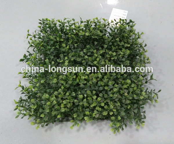 WS16042702広州メーカー卸売屋外人工つげ草パネル-人工芝問屋・仕入れ・卸・卸売り