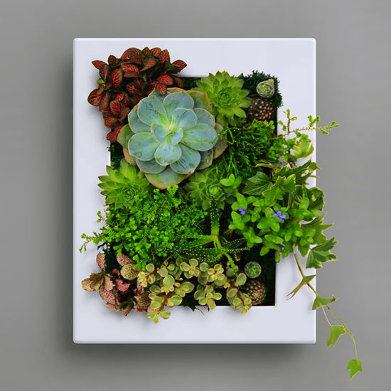 ミニ人工植物2014年偽壁ハング壁、 屋内装飾的な植物-人工芝問屋・仕入れ・卸・卸売り