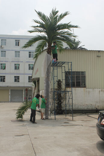 安価な花輪のための装飾的なヤシ/ココナッツトランクledツリー点灯6m2014年outdoo新製品人工植物-人工樹木問屋・仕入れ・卸・卸売り