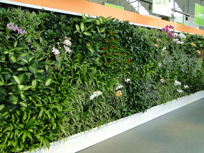 高品質、 高品質の生きている植物の植物の人工的な壁壁-人工芝問屋・仕入れ・卸・卸売り