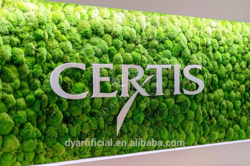 人工プラスチック植物壁/人工グリーン植物壁用苔-人工芝問屋・仕入れ・卸・卸売り