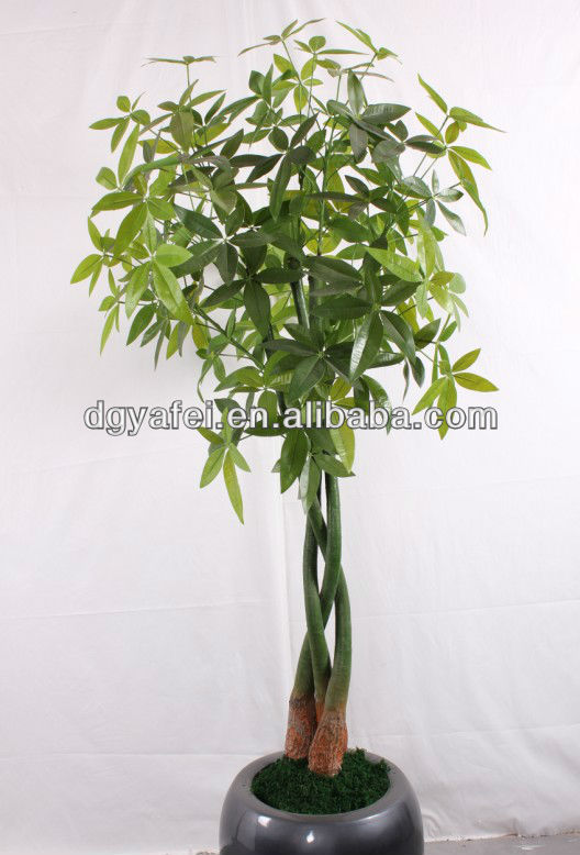 小さな緑色の工場鉢植えの人工イチジク装飾用の木パキラ発売-人工樹木問屋・仕入れ・卸・卸売り